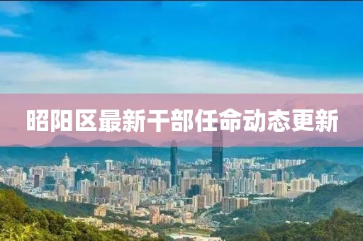 昭阳区最新干部任命动态更新