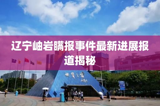 辽宁岫岩瞒报事件最新进展报道揭秘