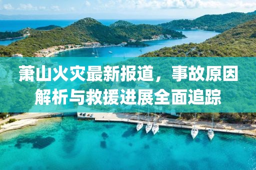 萧山火灾最新报道，事故原因解析与救援进展全面追踪