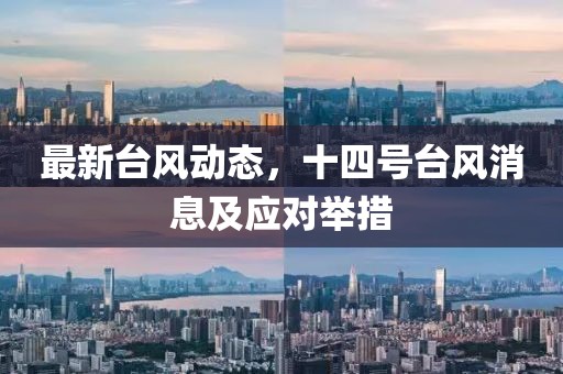 最新台风动态，十四号台风消息及应对举措