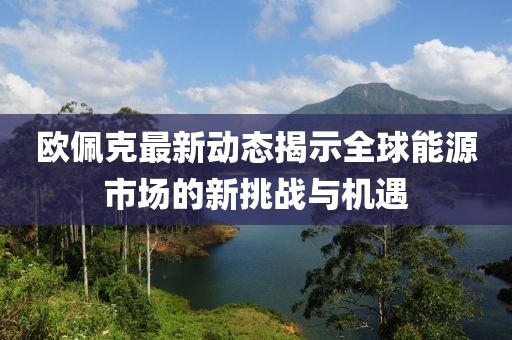 欧佩克最新动态揭示全球能源市场的新挑战与机遇