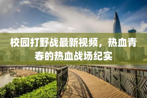校园打野战最新视频，热血青春的热血战场纪实