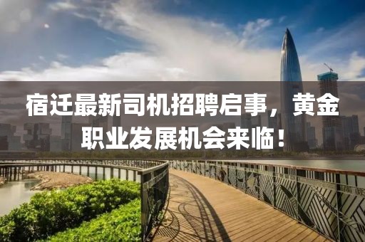 宿迁最新司机招聘启事，黄金职业发展机会来临！
