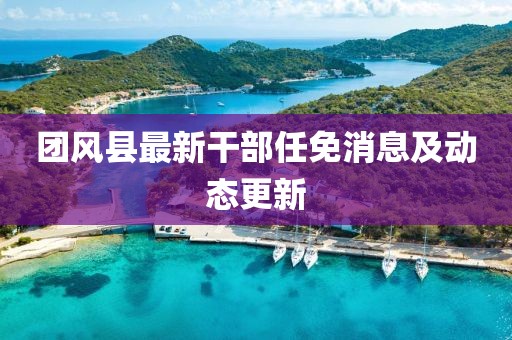 团风县最新干部任免消息及动态更新