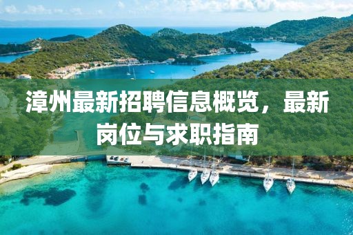 漳州最新招聘信息概览，最新岗位与求职指南