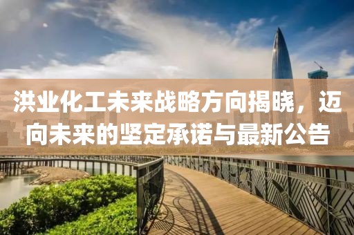 洪业化工未来战略方向揭晓，迈向未来的坚定承诺与最新公告