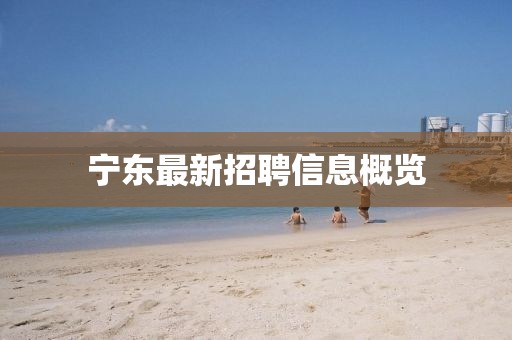 宁东最新招聘信息概览
