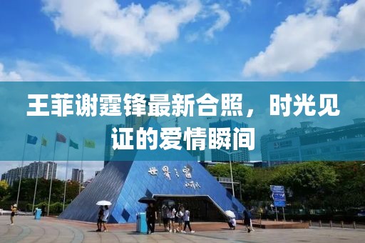王菲谢霆锋最新合照，时光见证的爱情瞬间