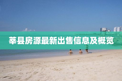 莘县房源最新出售信息及概览