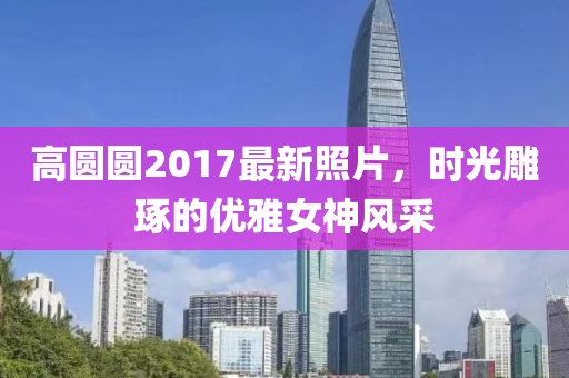 高圆圆2017最新照片，时光雕琢的优雅女神风采