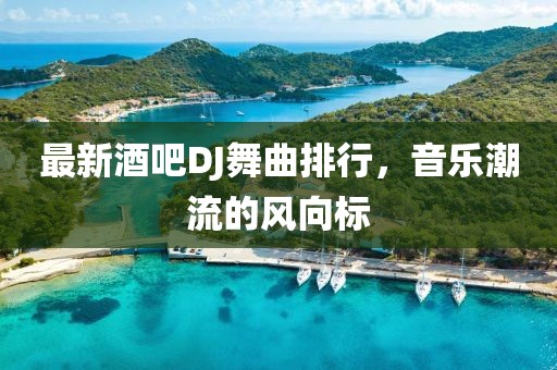 最新酒吧DJ舞曲排行，音乐潮流的风向标
