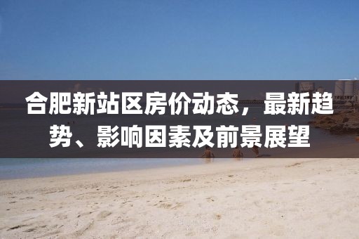 合肥新站区房价动态，最新趋势、影响因素及前景展望