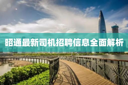 昭通最新司机招聘信息全面解析