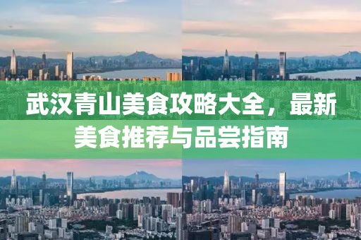 武汉青山美食攻略大全，最新美食推荐与品尝指南