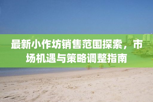 最新小作坊销售范围探索，市场机遇与策略调整指南