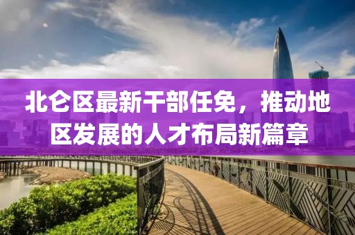 北仑区最新干部任免，推动地区发展的人才布局新篇章