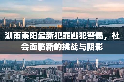 湖南耒阳最新犯罪逃犯警惕，社会面临新的挑战与阴影