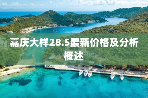 嘉庆大样28.5最新价格及分析概述
