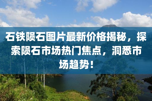 石铁陨石图片最新价格揭秘，探索陨石市场热门焦点，洞悉市场趋势！