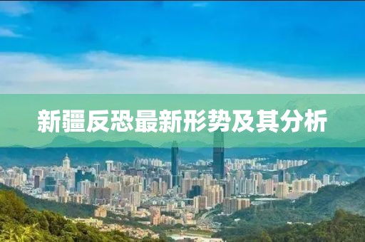 新疆反恐最新形势及其分析