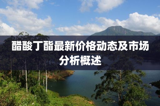醋酸丁酯最新价格动态及市场分析概述