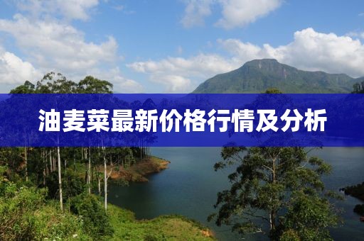 尘埃 第2页