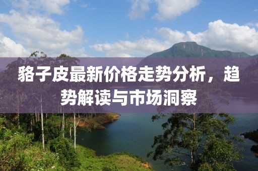 貉子皮最新价格走势分析，趋势解读与市场洞察