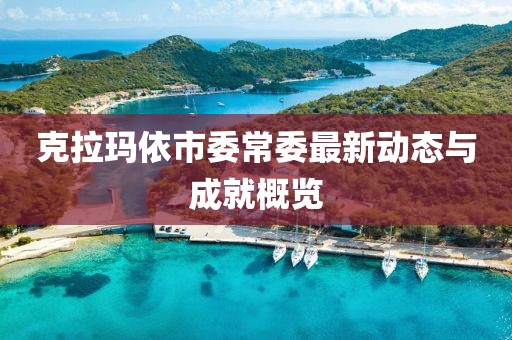 克拉玛依市委常委最新动态与成就概览