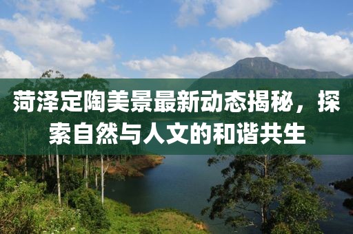 菏泽定陶美景最新动态揭秘，探索自然与人文的和谐共生
