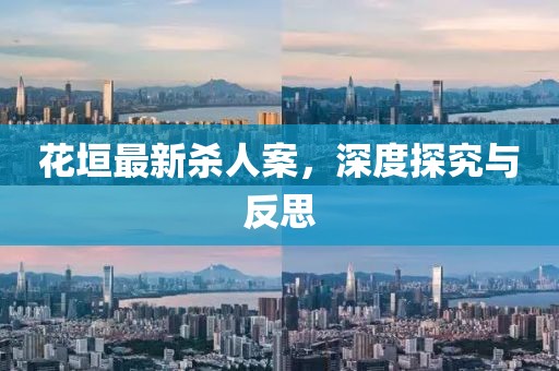 花垣最新杀人案，深度探究与反思