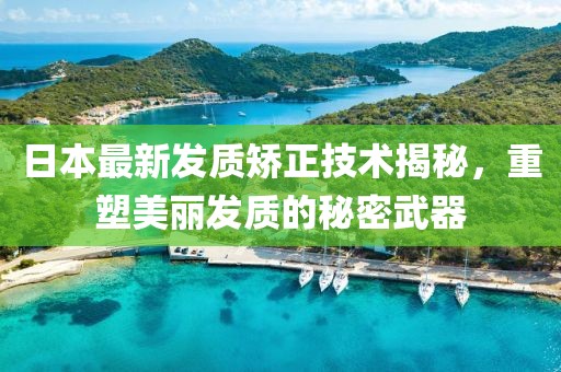 日本最新发质矫正技术揭秘，重塑美丽发质的秘密武器