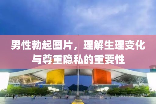 男性勃起图片，理解生理变化与尊重隐私的重要性