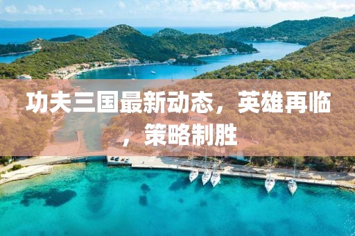 功夫三国最新动态，英雄再临，策略制胜
