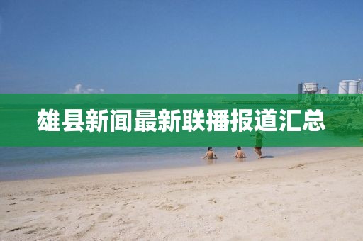 雄县新闻最新联播报道汇总