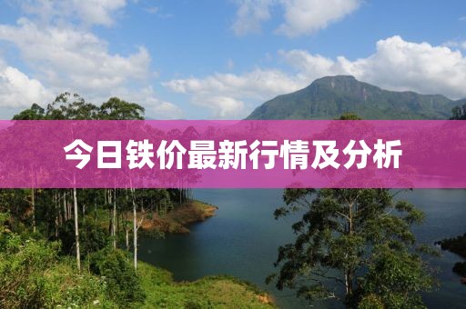 今日铁价最新行情及分析