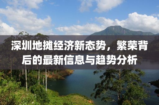 深圳地摊经济新态势，繁荣背后的最新信息与趋势分析