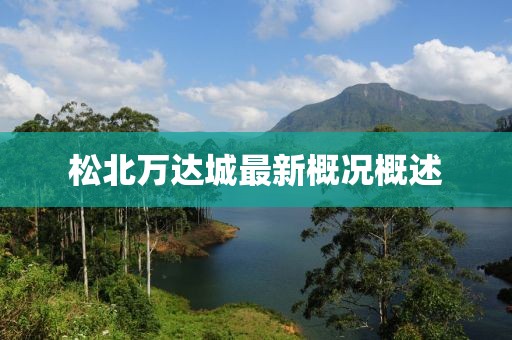 松北万达城最新概况概述