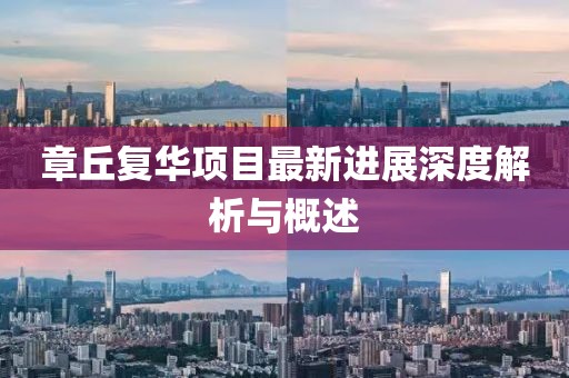 东景 第21页