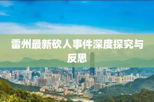 雷州最新砍人事件深度探究与反思