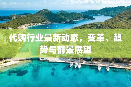 代购行业最新动态，变革、趋势与前景展望