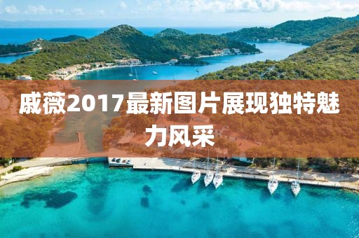 戚薇2017最新图片展现独特魅力风采