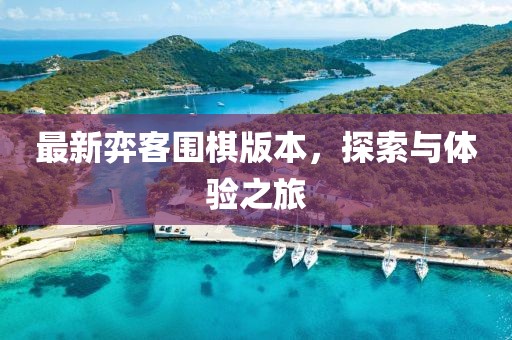 最新弈客围棋版本，探索与体验之旅