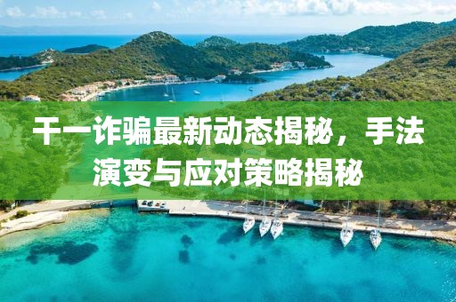 干一诈骗最新动态揭秘，手法演变与应对策略揭秘
