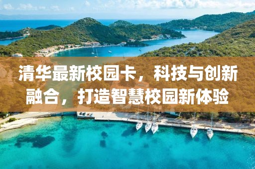 清华最新校园卡，科技与创新融合，打造智慧校园新体验