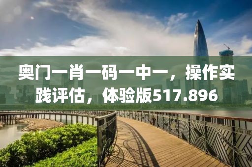 奥门一肖一码一中一，操作实践评估，体验版517.896