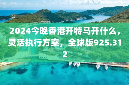 2024今晚香港开特马开什么，灵活执行方案，全球版925.312