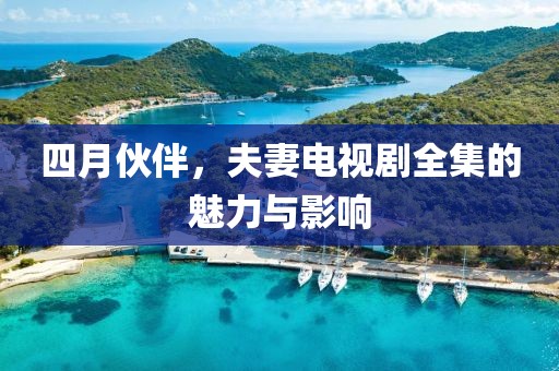 四月伙伴，夫妻电视剧全集的魅力与影响