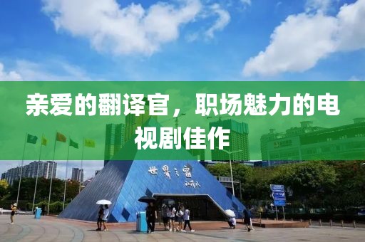亲爱的翻译官，职场魅力的电视剧佳作