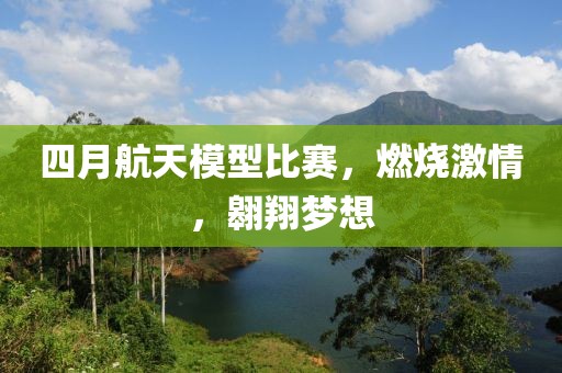 四月航天模型比赛，燃烧激情，翱翔梦想