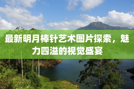最新明月棒针艺术图片探索，魅力四溢的视觉盛宴